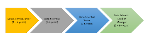 Typical data science career path