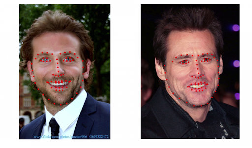 Face Swapping with Python visual