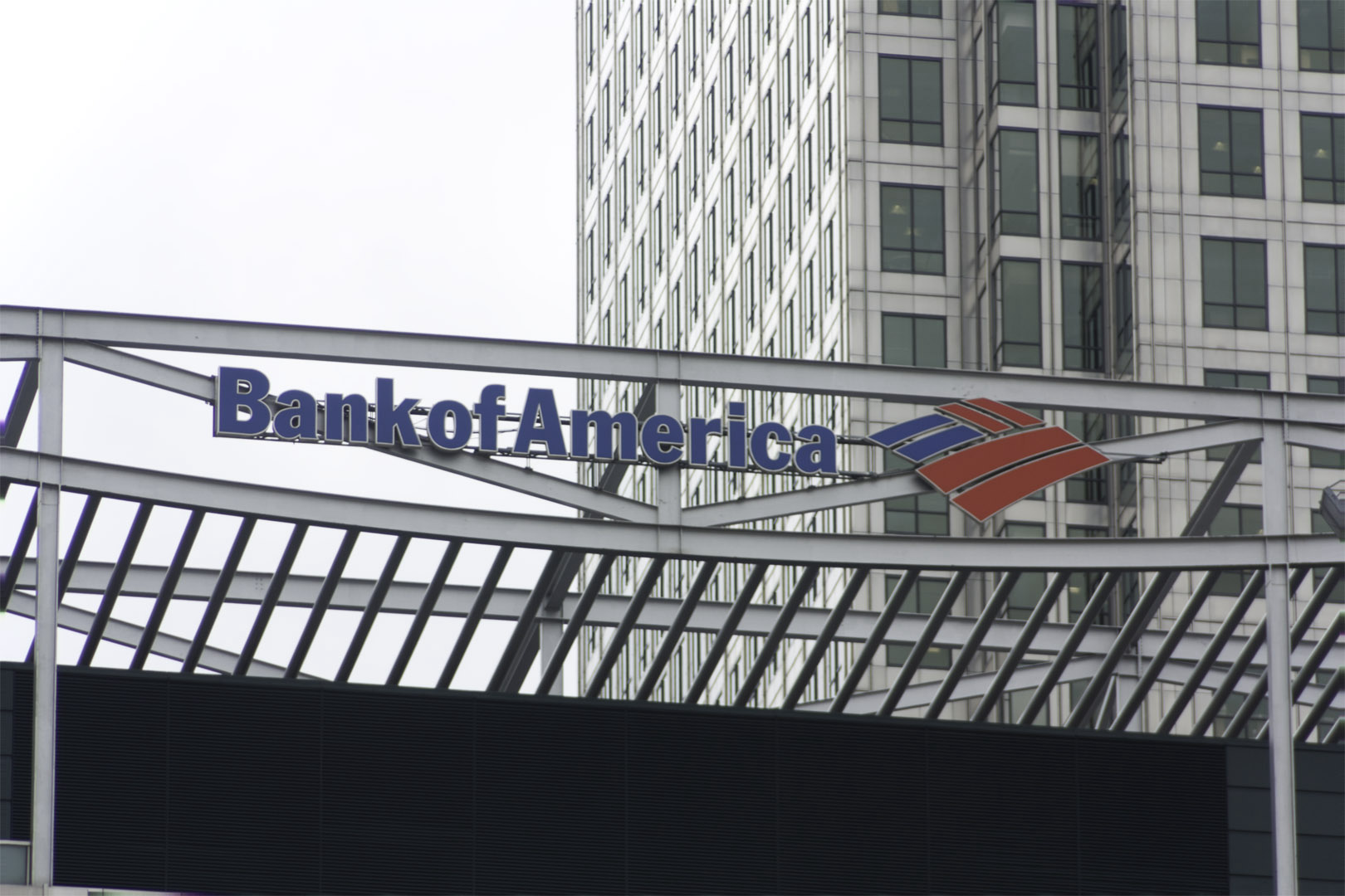 Bank of America: AI Is Powering Growth, But Not Killing Jobs (Yet)