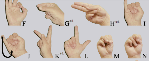 Python Sign Language Detection dataset visualization
